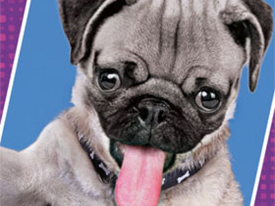Pug Art