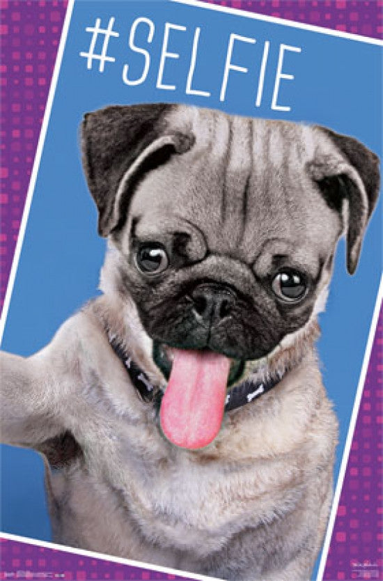 Pug Selfie Poster Print - Fun and Whimsical Wall Art