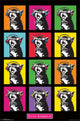 Kitten Pop Grid Rolled Poster Print - 24x36