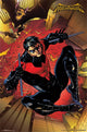 Nightwing - Jump Poster Print 22x34