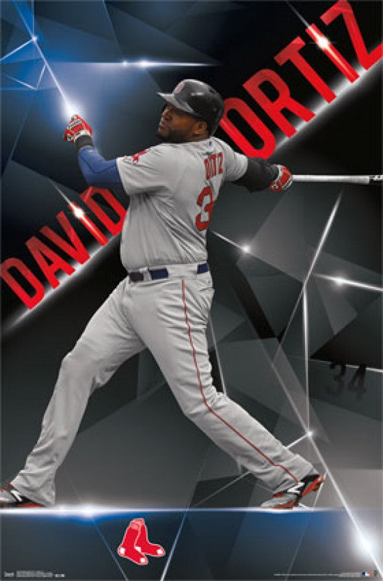 Boston Red Sox David Ortiz 2015 Poster Print - 22x34