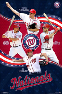 Washington Nationals Team 15 Rolled Poster Print