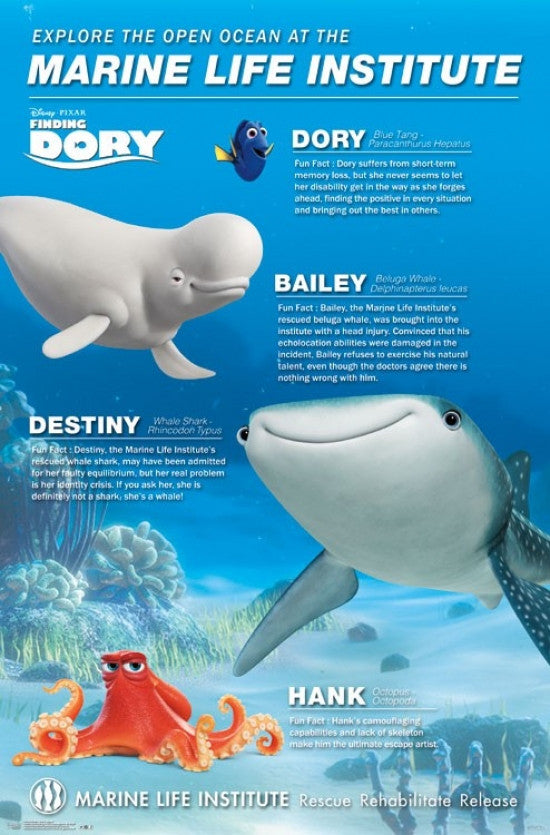 Finding Dory Group Poster Print - 22x34 Rolled Poster