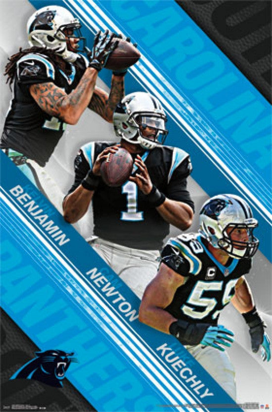 Carolina Panthers Team 2015 Poster Print - 24x36