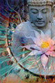 Buddha - Living Radiance Rolled Poster Print (22x34)