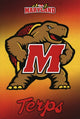 University of Maryland Logo 11 Poster Print - 24x36