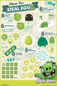 Angry Birds - Steal Eggz Poster Print (22x34)
