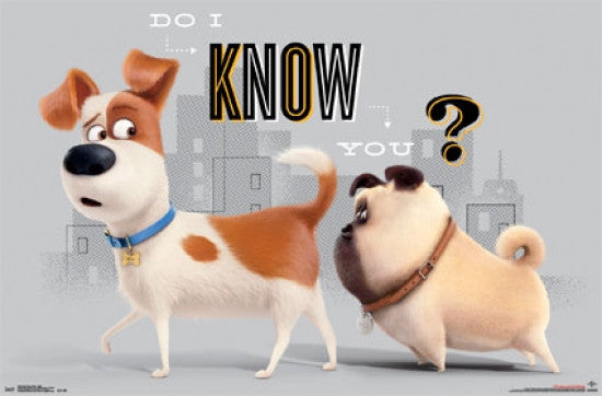 Secret Life of Pets - Sniff Poster Print - 34x22