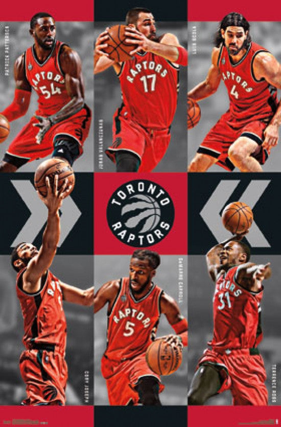 Toronto Raptors Team 15 Poster Print - 22x34