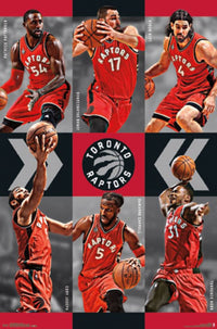 Toronto Raptors Team 15 Poster Print - 22x34