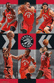 Toronto Raptors Team 15 Poster Print - 22x34