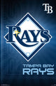 Tampa Bay Rays Logo 16 Poster Print - 22x34