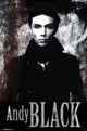 Andy Black - Stone Poster Print (22x34) | Posterazzi