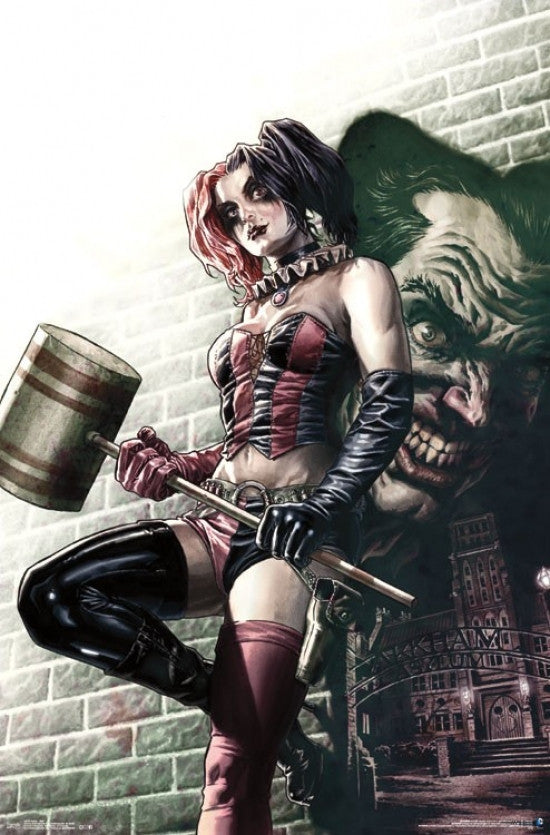 Harley Quinn Wall Poster Print - 22x34 Rolled Poster