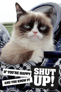 Grumpy Cat - Shut Up Rolled Poster Print 22x34