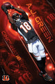 Cincinnati Bengals - A.J. Green Poster Print (22x34)