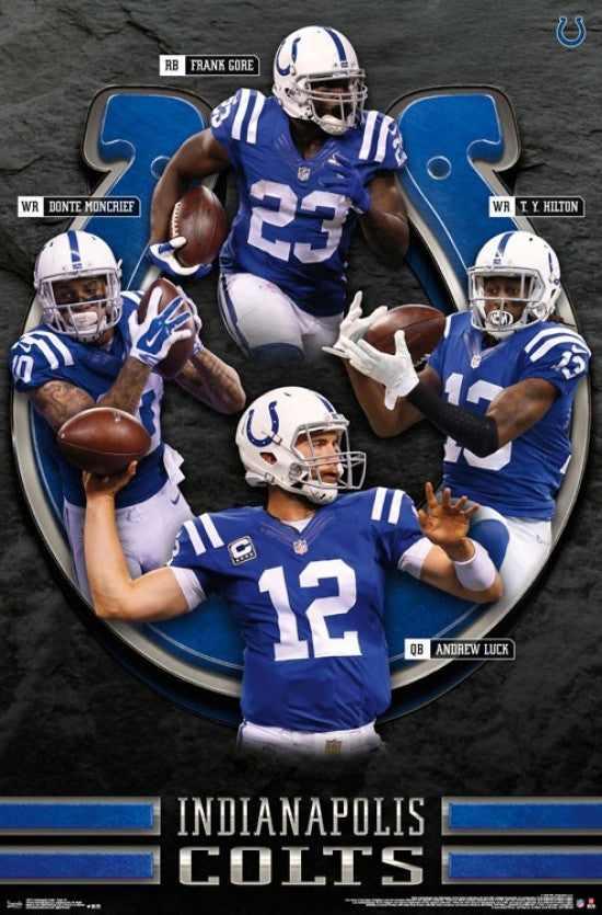 Indianapolis Colts - Team 16 Rolled Poster Print