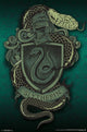 Harry Potter Slytherin Snake Poster Print - 22x34
