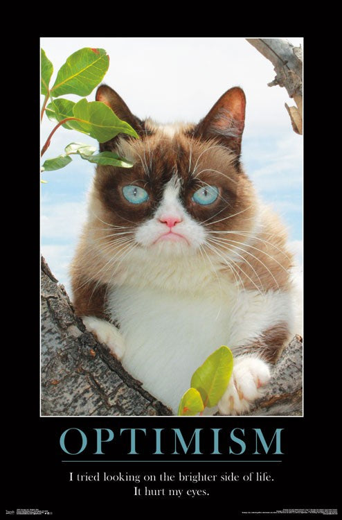 Grumpy Cat Brighter Side Poster Print 22 x 34
