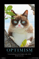 Grumpy Cat Brighter Side Poster Print 22 x 34