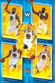 Golden State Warriors Team 16 Poster Print 22x34