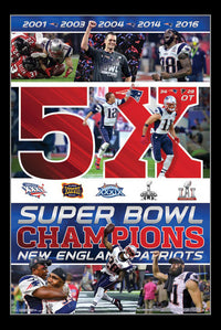 Super Bowl LI Celebration Poster Print - 22x34 Size