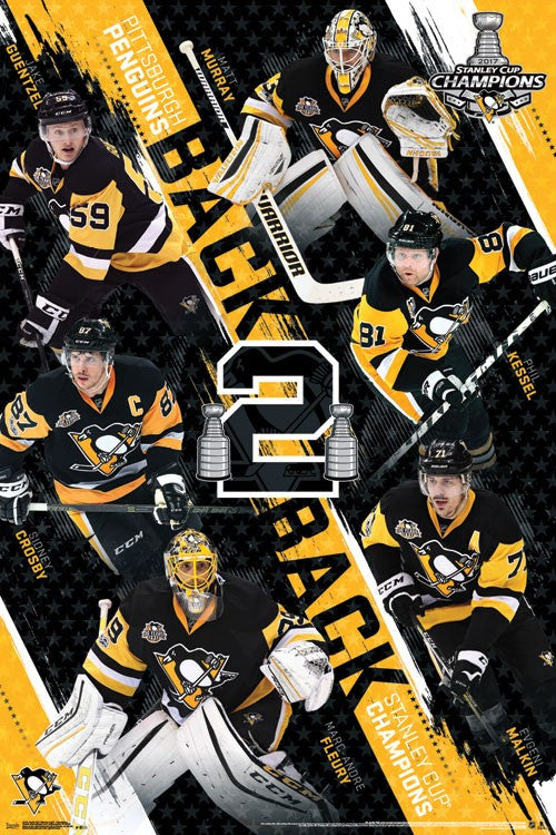 2017 Stanley Cup Champions Poster Print - 22x34