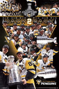 2017 Stanley Cup Celebration Poster Print - 22x34
