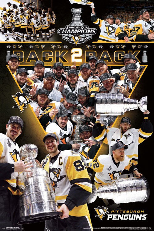 2017 Stanley Cup Celebration Poster Print - 22x34