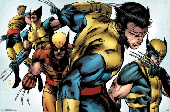 Wolverine Evolution Poster Print - 34x22 Rolled Artwork