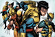 Wolverine Evolution Poster Print - 34x22 Rolled Artwork