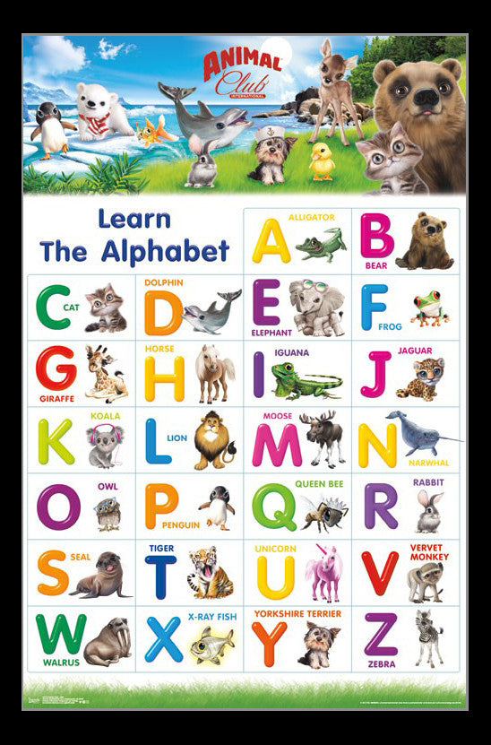 Animal Club ABC Poster Print - Vibrant Educational Artwork