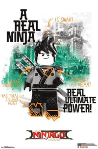 Lego Ninjago - Real Ninja Rolled Poster Print (22x34)