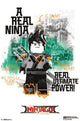 Lego Ninjago - Real Ninja Rolled Poster Print (22x34)