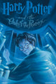 Harry Potter and the Order of the Phoenix Poster Print 24x36