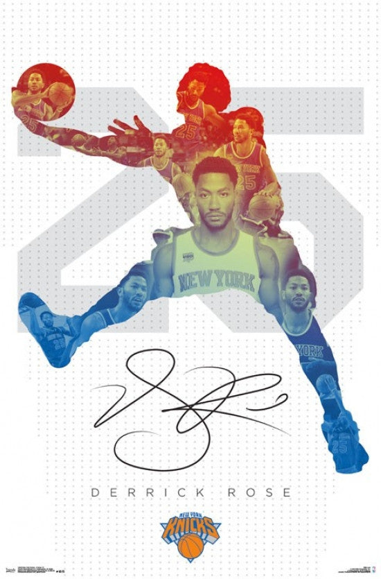Derrick Rose New York Knicks Poster Print (22x34)