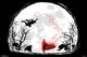 RWBY - Moon Rolled Poster Print - 34x22