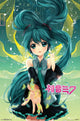 Hatsune Miku - Notes Rolled Poster Print (22x34)