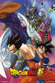Dragon Ball Super Group Poster Print - Rolled Art Print