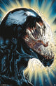 Venom - Darkness Rolled Poster Print 22x34