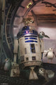 Star Wars: The Last Jedi - Droid & Porg Poster Print (22x34)