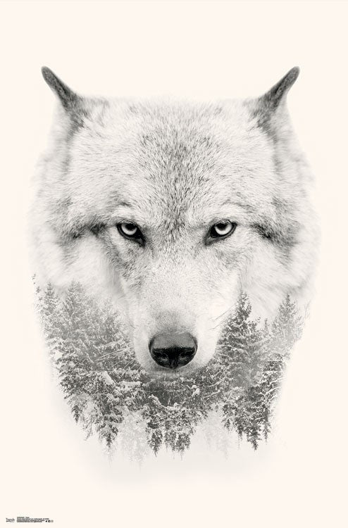 Wolf Among Trees Poster Print - 22x34 Rolled Art