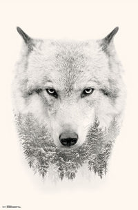 Wolf Among Trees Poster Print - 22x34 Rolled Art