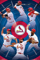 St. Louis Cardinals Team Poster Print 22x34