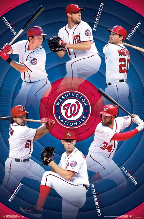 Washington Nationals Team Poster Print - 22x34