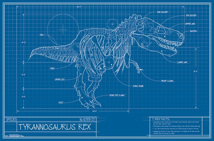 T-Rex Blueprint Illustration Poster Print showcasing detailed dinosaur anatomy