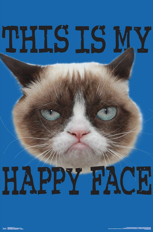 Grumpy Cat Face Poster Print - 22x34