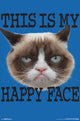 Grumpy Cat Face Poster Print - 22x34