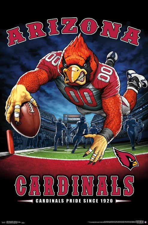 Arizona Cardinals End Zone Poster Print - 22x34