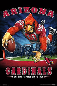 Arizona Cardinals End Zone Poster Print - 22x34